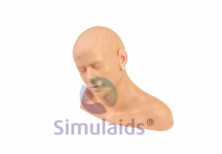 20210818014843162
