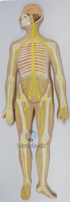 微信图片_20220407163855