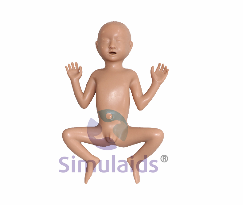 20210818020535793 (1)