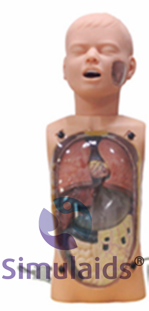 20210818020942775_副本_副本