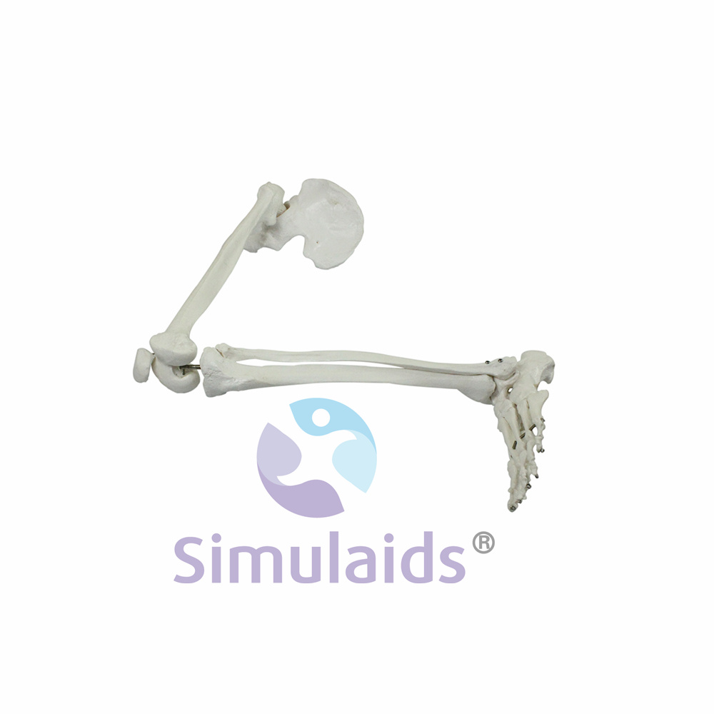 20210818122309313 (1)